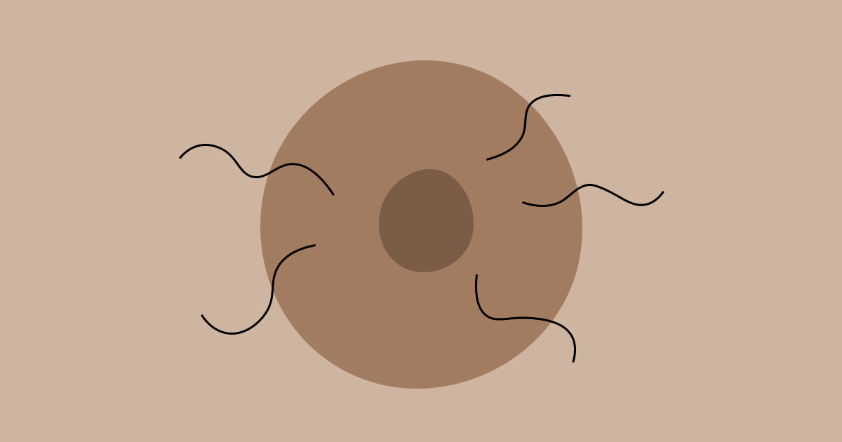 Ingrown hair in my nipple Clearance