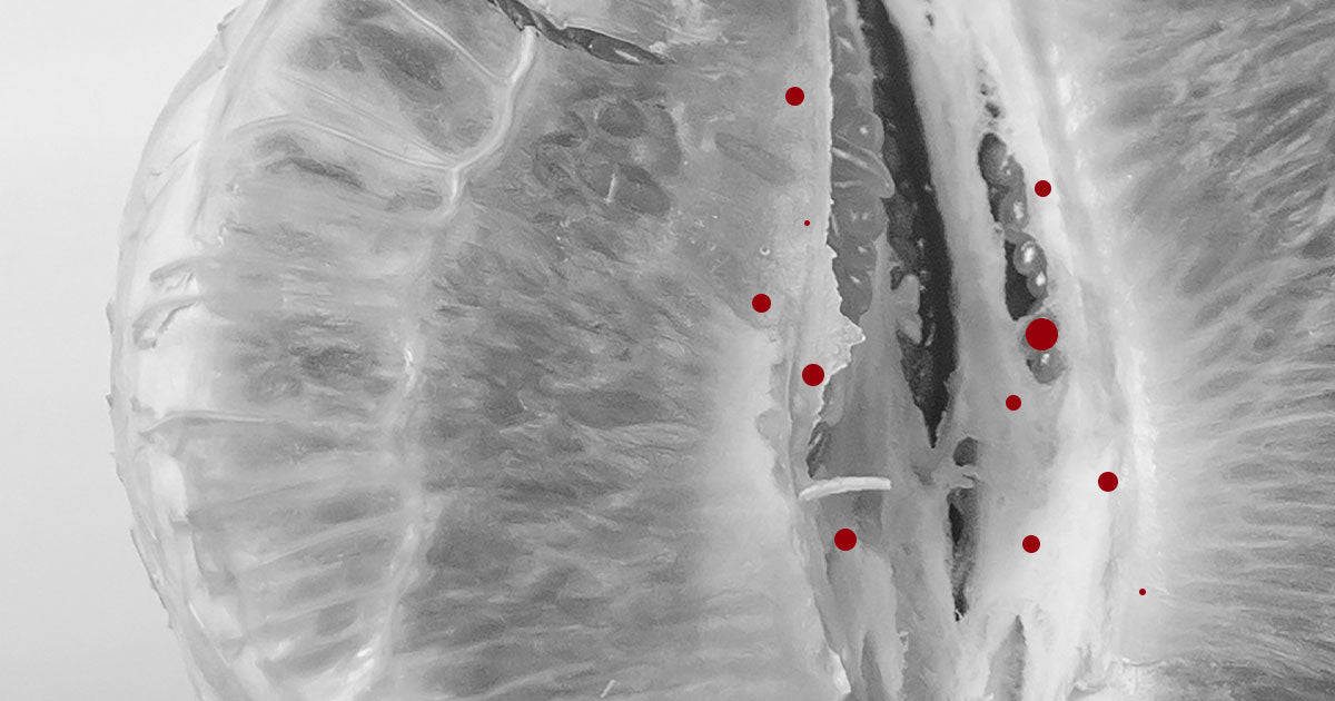 Amateur ass fucking videos