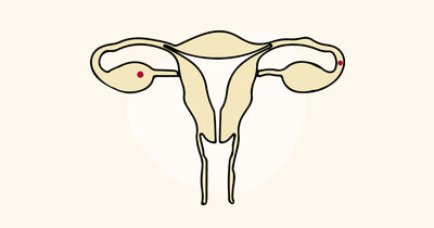 What is Hyperovulation? - Causes, Signs of Hyperovulation, Supplements