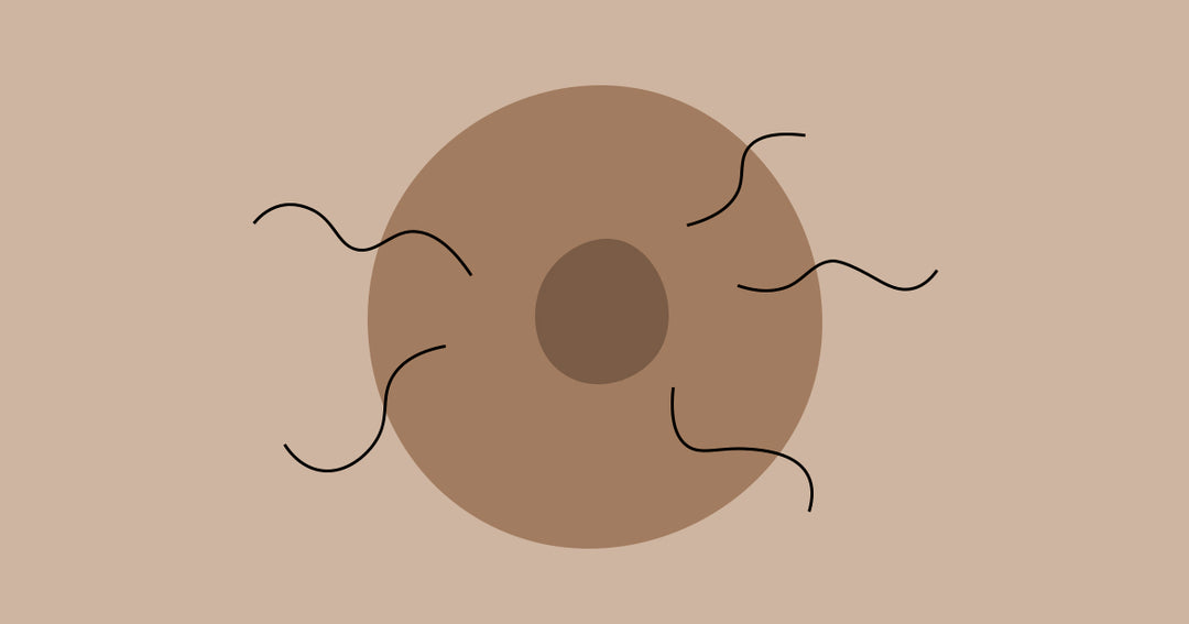Hairy Nipples: How to Get Rid of Nipple Hair