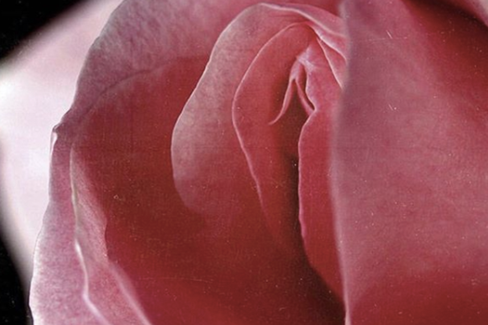 Vaginal Discharge – Meaning & Types