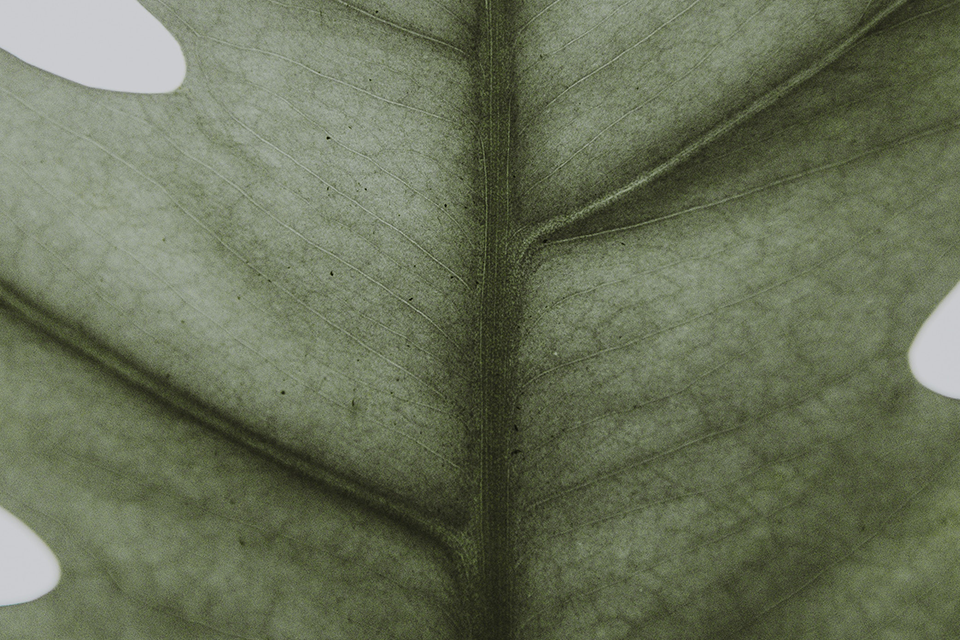 Sustainability v/s Accessibility