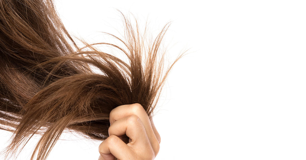 How to Get Rid of Split Ends? Causes, Types of Split Ends