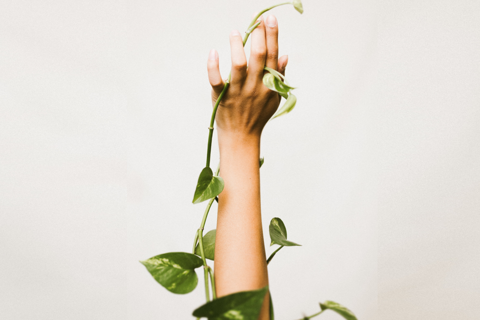 Sustainable is Attainable 