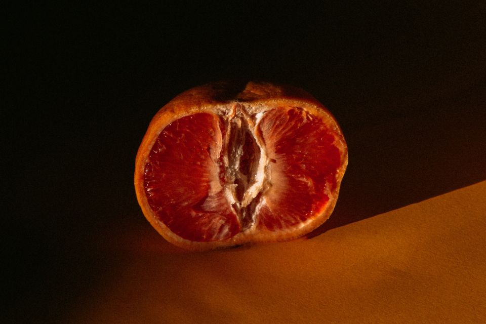 Lady Parts & Female Vagina Parts