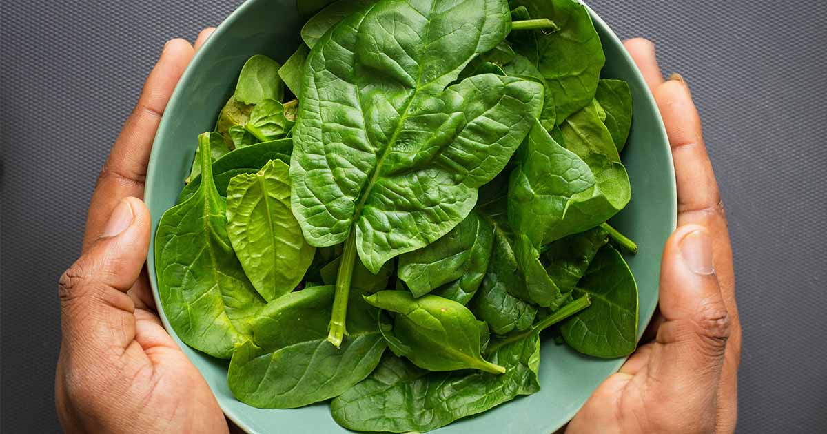 Iron-Rich Foods That Can Keep Your Iron Deficiency and Iron-Related Worries at Bay