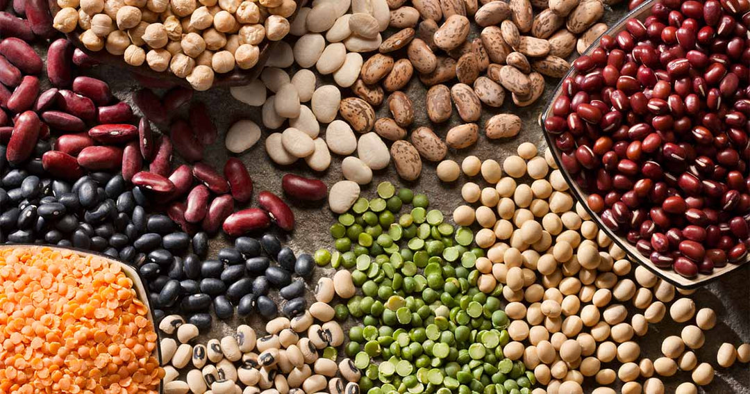 Which Foods Are High in Vitamin B?