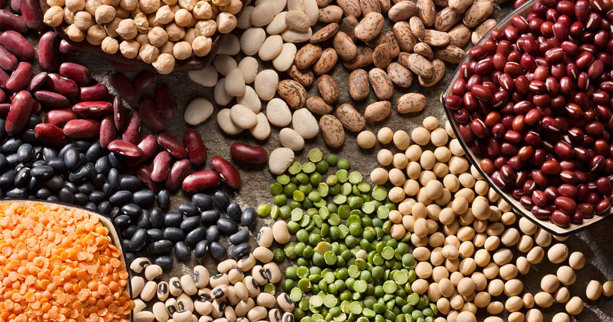 Which Foods Are High in Vitamin B?