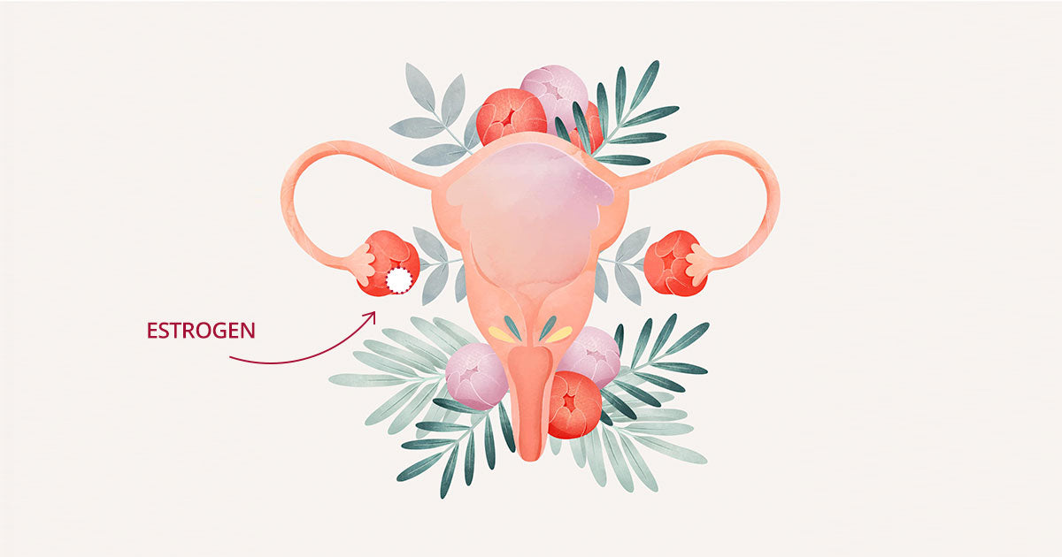 estrogen