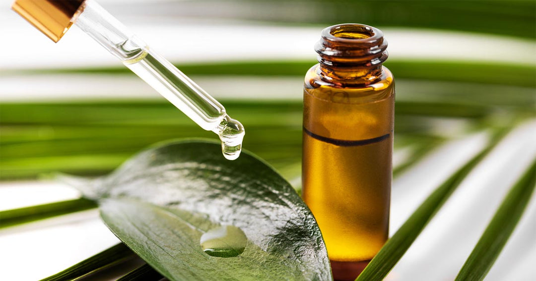 Face Oils That Work: Tea Tree Oil