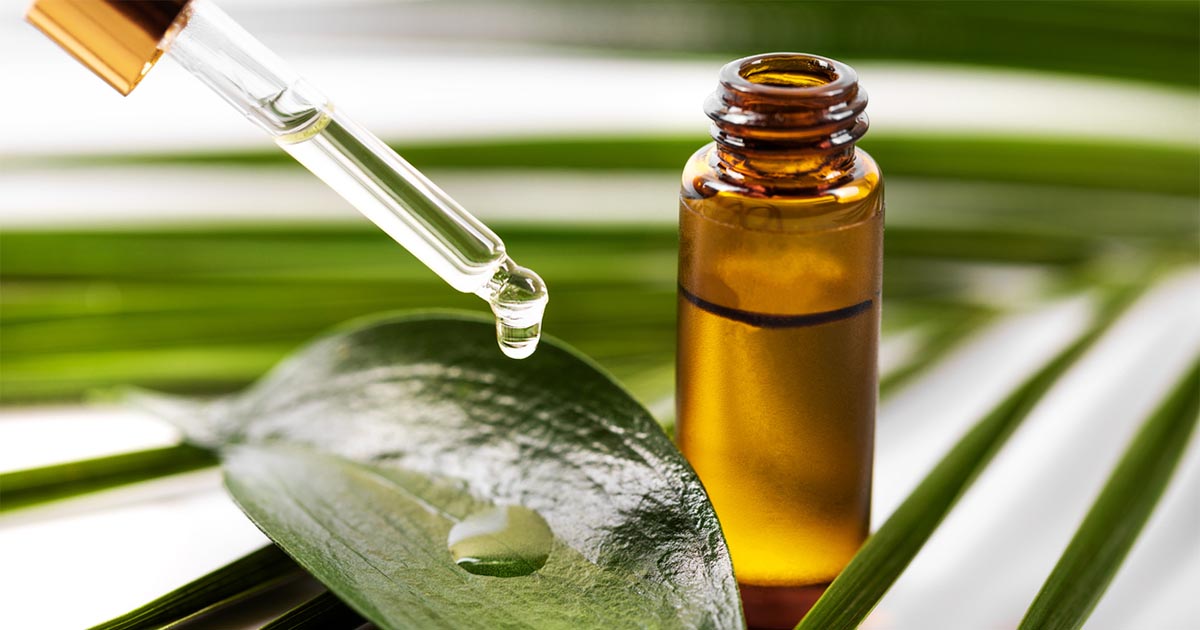 Face Oils That Work: Tea Tree Oil