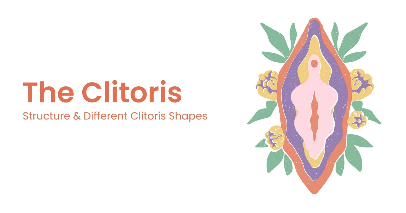 Clitoris Anatomy: Different Shapes & Types Guid – Carmesi