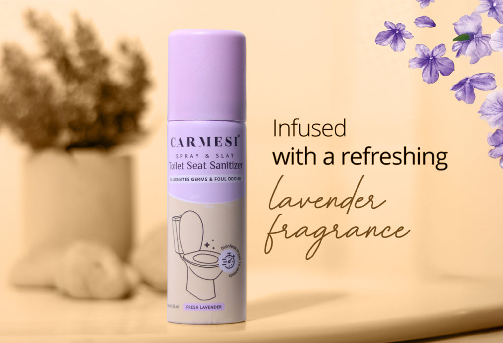 Carmesi Disposable Period Panties (Pack of 10) and Carmesi Toilet Seat Sanitizer L-XL