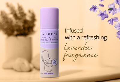 Carmesi Disposable Period Panties (Pack of 10) and Carmesi Toilet Seat Sanitizer L-XL