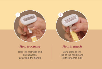 Carmesi Body Razor Swing Refill Pack